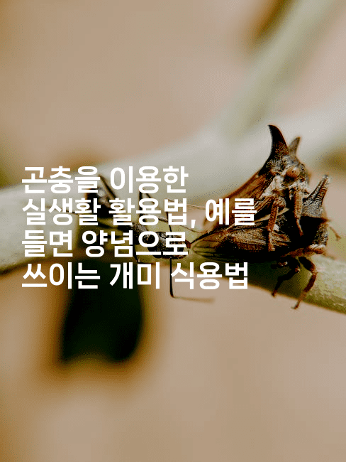 곤충을 이용한 실생활 활용법, 예를 들면 양념으로 쓰이는 개미 식용법
-벌레일기