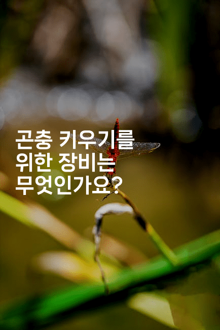 곤충 키우기를 위한 장비는 무엇인가요?