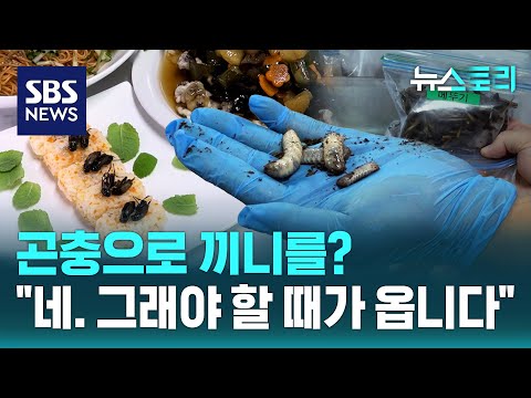 식용곤충, 미래 식량 될까?..국내 식용 곤충은 무려 10가지 (뉴스토리) / SBS