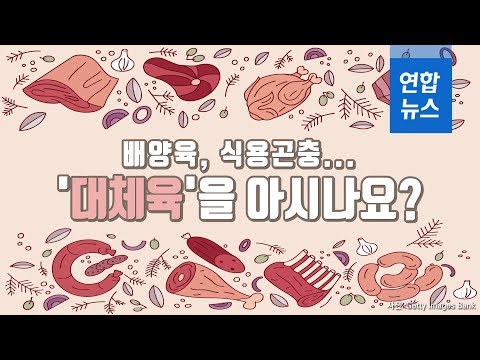 배양육, 식용곤충...'대체육'을 아시나요? / 연합뉴스 (Yonhapnews)