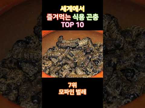 세계에서 즐겨먹는 식용 곤충 TOP 10