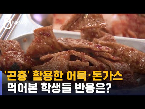 식용 곤충 활용한 어묵·돈가스…학생들 반응은? / SBS