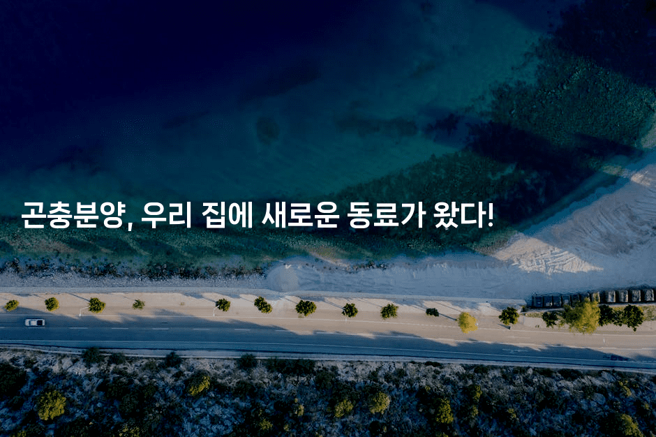 곤충분양, 우리 집에 새로운 동료가 왔다!2-벌레일기