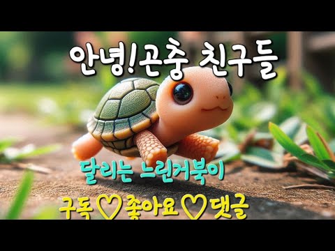 #사슴벌레기우기 #곤충관찰 #곤충키우기 #구독과좋아요필수 #달리는느린거북이