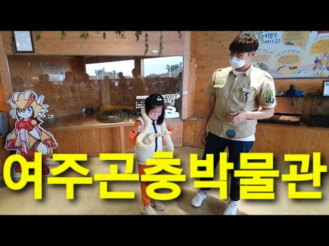 126)여주곤충박물관 #여주시 #곤충박물관 #파충류체험 #아이들이가볼만한곳