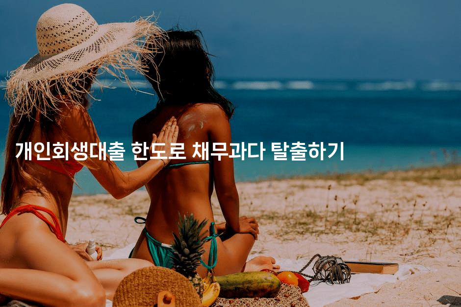 개인회생대출 한도로 채무과다 탈출하기-벌레일기