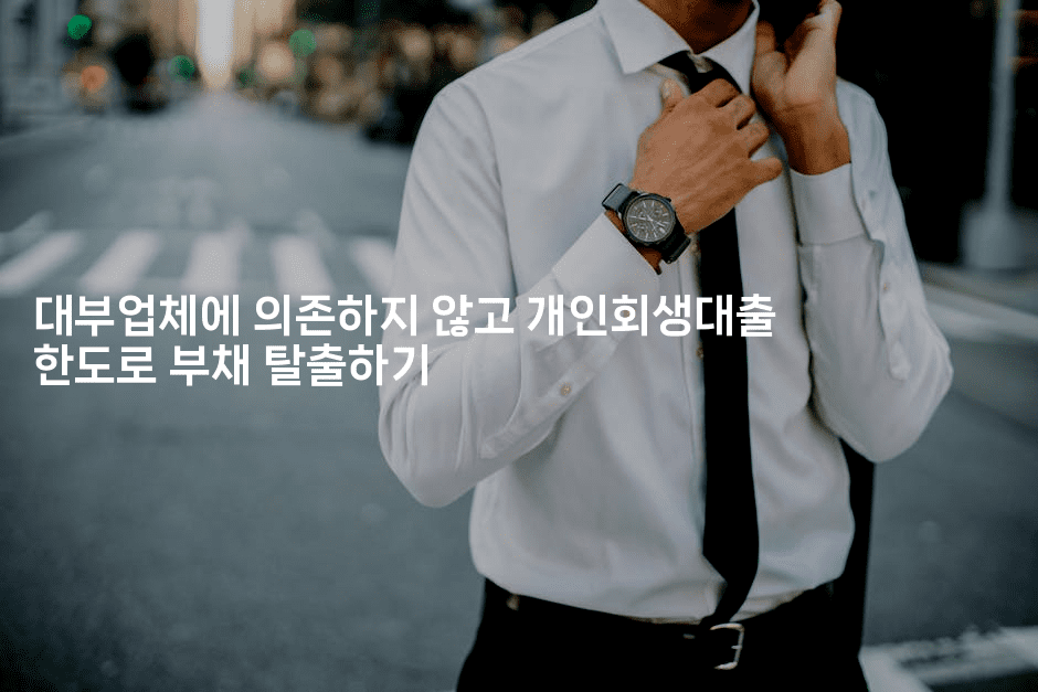 대부업체에 의존하지 않고 개인회생대출 한도로 부채 탈출하기-벌레일기