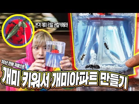 개미 키워서 개미아파트 만들어 보았습니다! - 허팝 (Grow Ants to make Ant House)