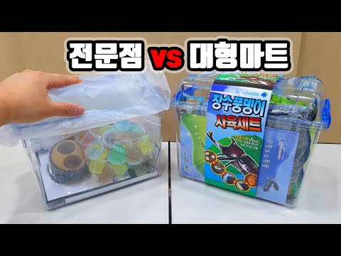 마트 장수풍뎅이 사육세트 vs 전문샵 장수풍뎅이 사육세트 비교!