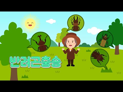 집에서 키울 수 있는 곤충은 뭐가 있을까?  |  반려곤충송  |  과학송