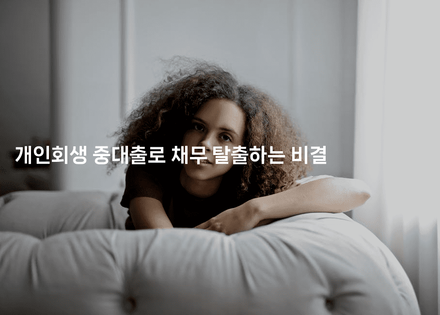 개인회생 중대출로 채무 탈출하는 비결-벌레일기