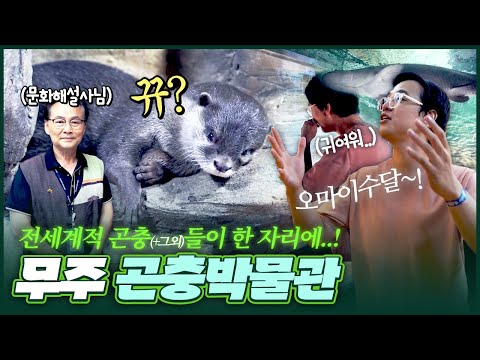 [무주군] 충격 무주 곤충박물관에 수달 실존? 해설사 선생님과 함께 보는 세계 희귀 곤충들?