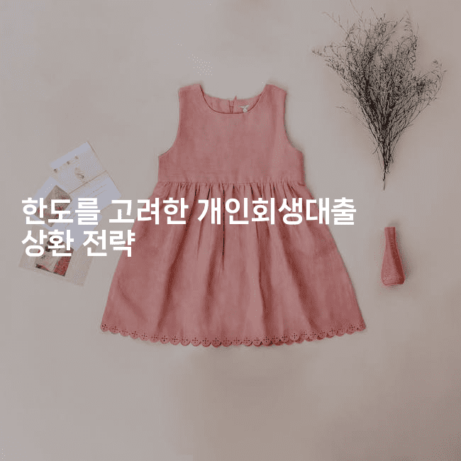 한도를 고려한 개인회생대출 상환 전략-벌레일기