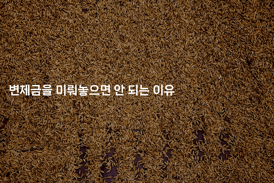 변제금을 미뤄놓으면 안 되는 이유