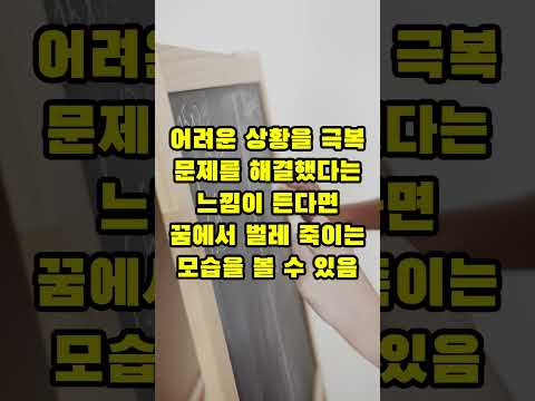 로또 구매 전 체크!  벌레가 나오는 꿈 해몽 5가지!