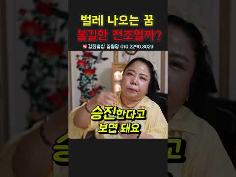 벌레가 출연하는 꿈, 정말로 불길한 전조일까요? 이 비밀, 함께 풀어봅시다 용군TV 강화별상 일월당 #shorts