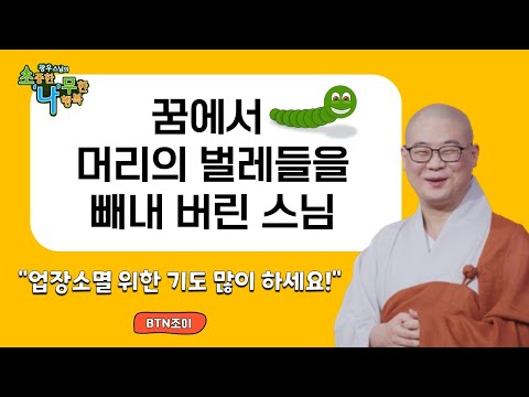 꿈에서 머리의 벌레들을 빼내 버린 스님 ㅣ 광우스님 소나무