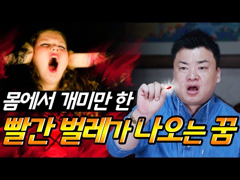 무당TV – 마산 고대감 "몸에서 개미만 한 빨간 벌레가 나오는 꿈"