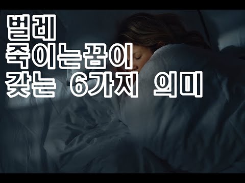 벌레 곤충 잡는꿈, 죽이는꿈 해몽! 길몽일까 흉몽일까?(dream interpretation of killing bugs)