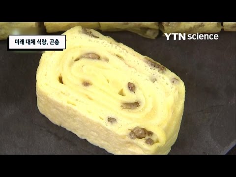 미래 대체 식량, 곤충 / YTN 사이언스