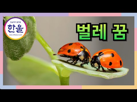 #벌레꿈 #벌레가나오는꿈 #한울티비 #한울점술예약 #한울#인정된점술사이트