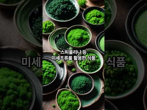 세계에서 가장 독특한 미래 식량 TOP10