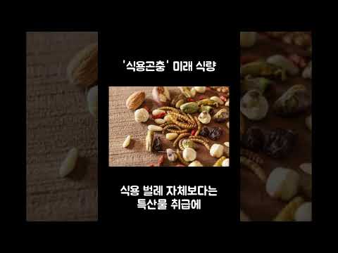 '식용곤충' 미래 식량