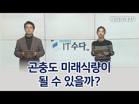 곤충도 미래식량이 될 수 있을까? / IT수다 / 매일경제TV