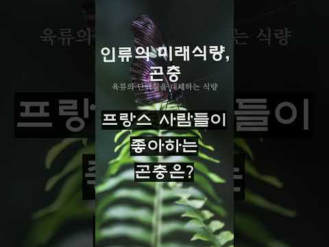 프랑스인들의 최애는? #short #프랑스 #대체식품 #미래식량 #곤충 #아재개그