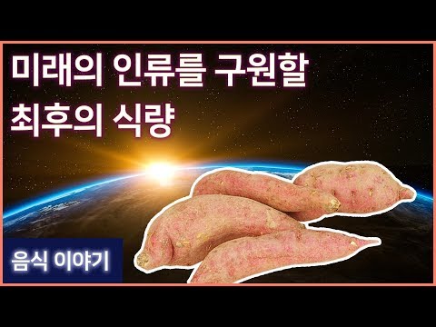 미래의 인류를 구원할 최후의 식량 '고구마'