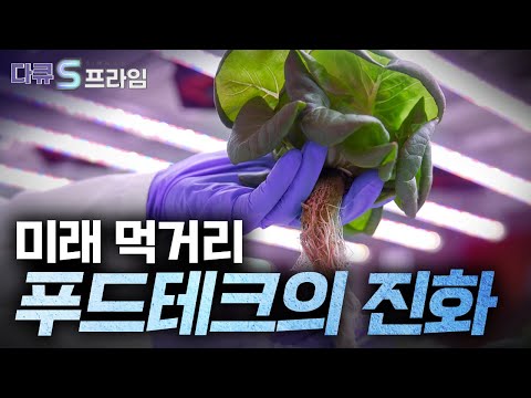 [다큐S프라임] 미래 먹거리를 책임져줄 새로운 기술 / YTN 사이언스