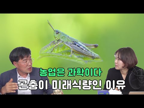 곤충이 미래식량인 이유