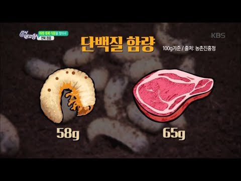 6시 내고향 - 전북 정읍, 미래 대체 식량 꽃뱅이! 20180815