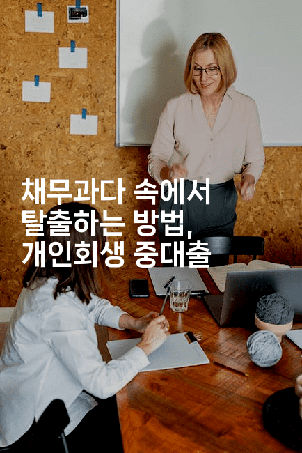 채무과다 속에서 탈출하는 방법, 개인회생 중대출-벌레일기