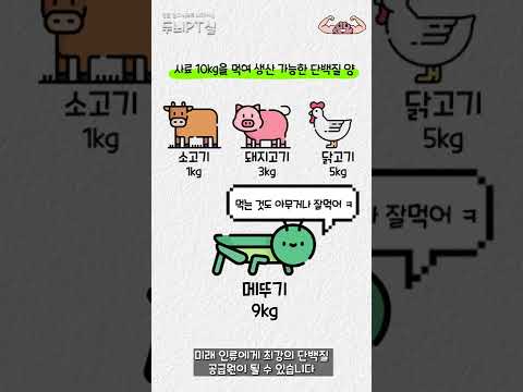 벌레가 최고의 식량 자원으로 불리는 이유 #shorts