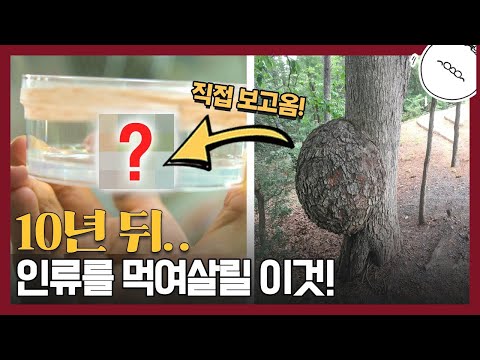 10년 뒤 여러분이 먹을 식량!?