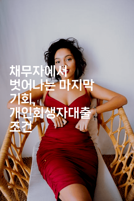 채무자에서 벗어나는 마지막 기회, 개인회생자대출 조건-벌레일기