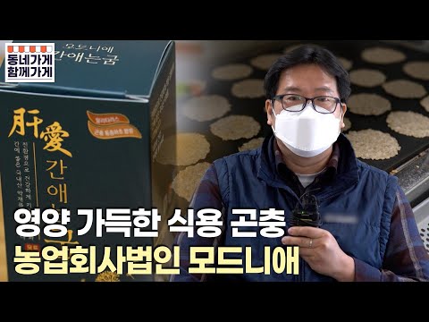 영양 가득한 식용 곤충을 식품으로 농업회사법인모드니애 cf