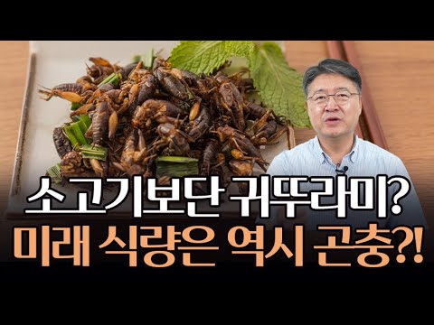 미래 식량으로 곤충이 주목 받는 이유?