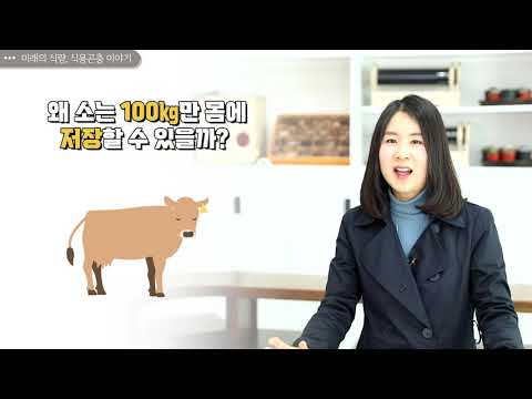 09  미래의 식량, 식용곤충 이야기