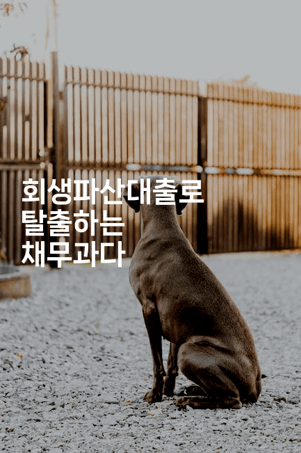 회생파산대출로 탈출하는 채무과다-벌레일기